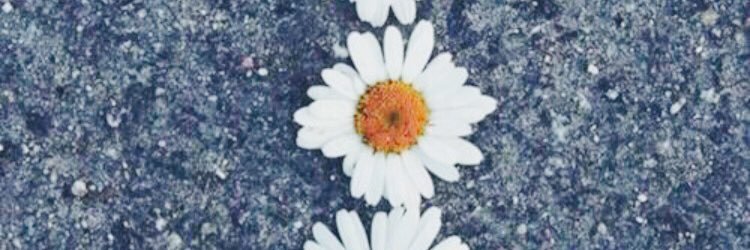 ebsssm's profile banner image