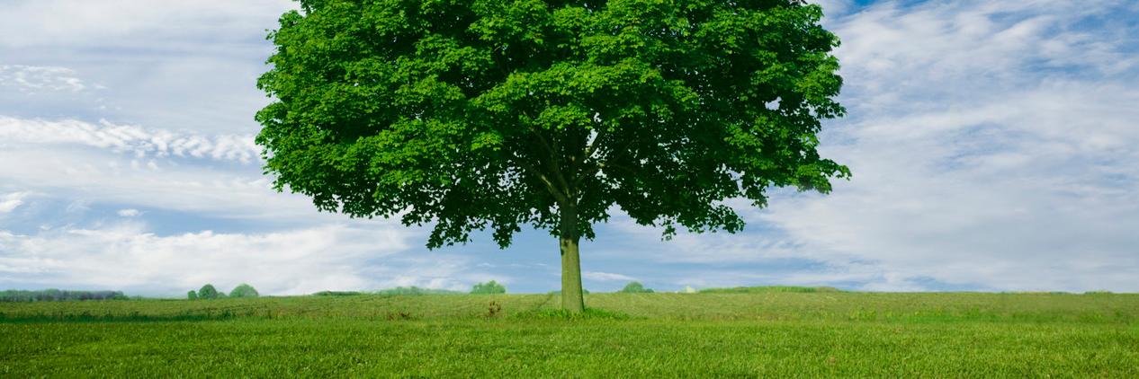 Be The Change (QI @ ASPH) banner