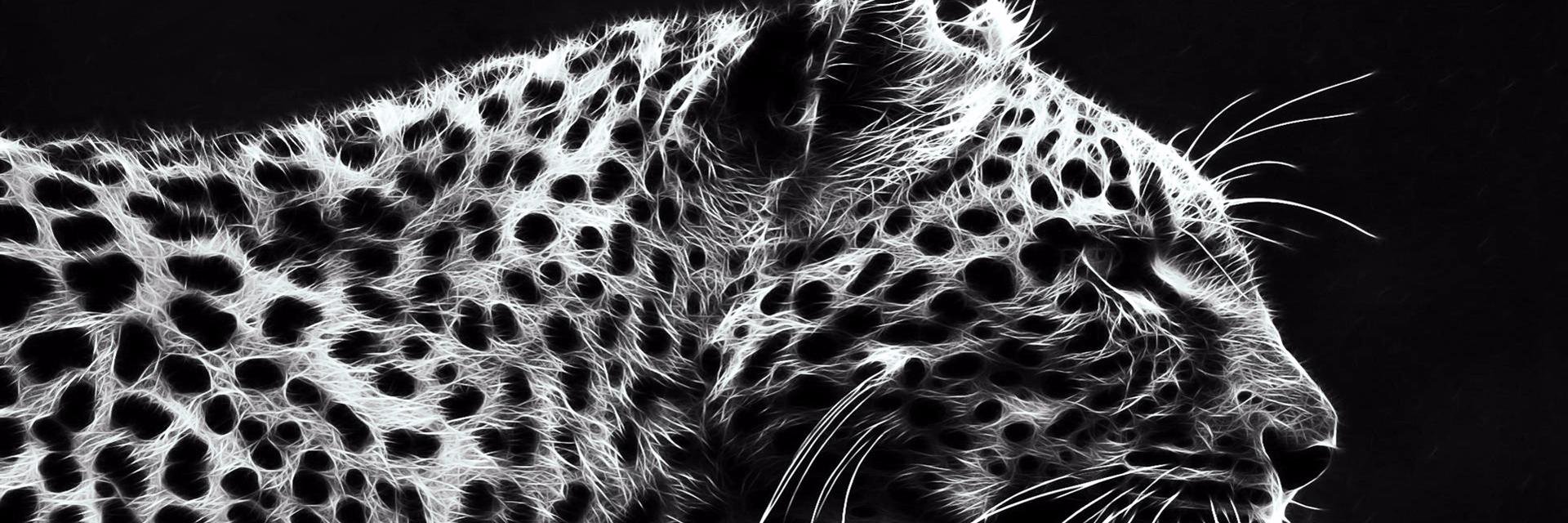 Bilaloukh's profile banner image