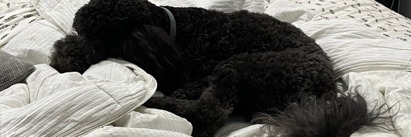 JessicaMHoffman Profile Banner