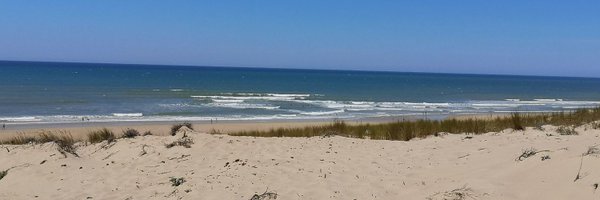 NatachaGeroni Profile Banner