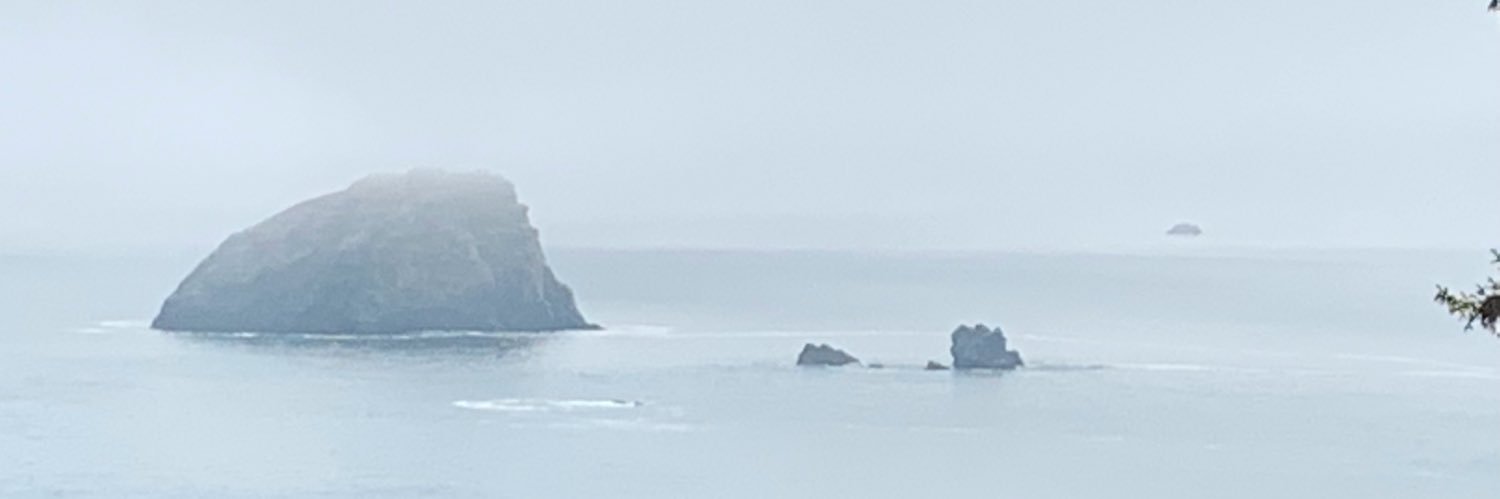 SgtSue banner