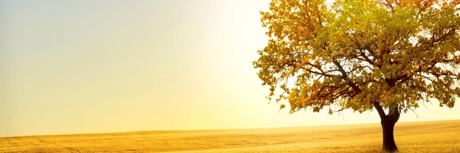 dodongmarkph's profile banner image