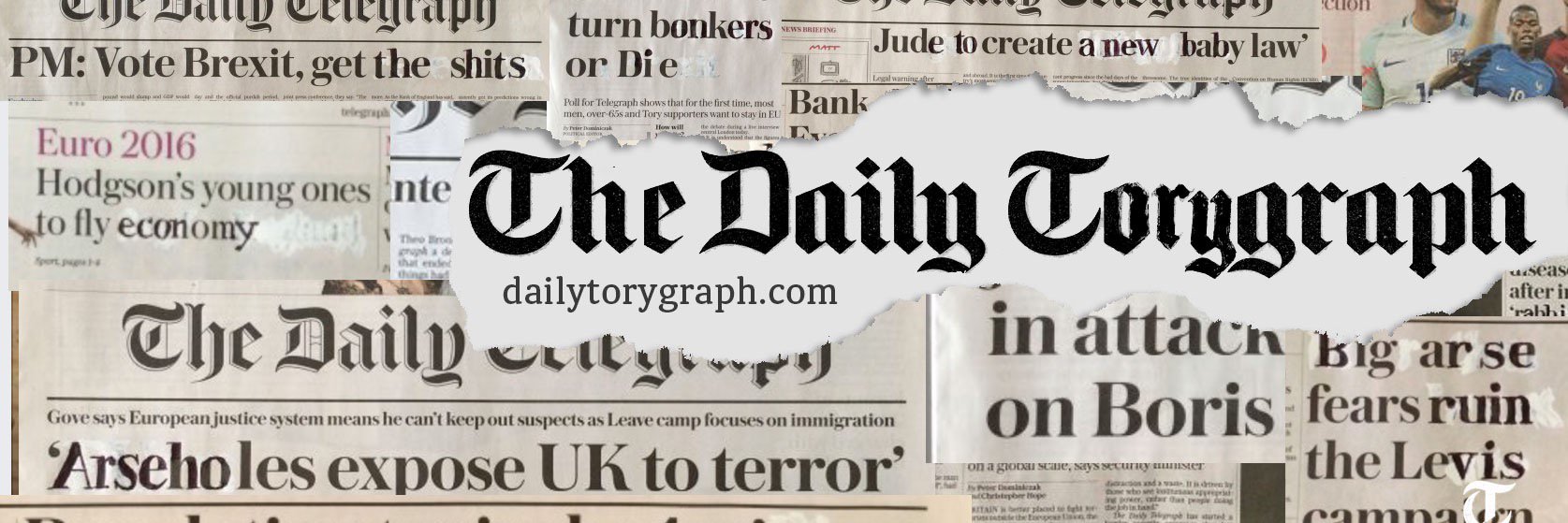 DailyTorygraph's profile banner image