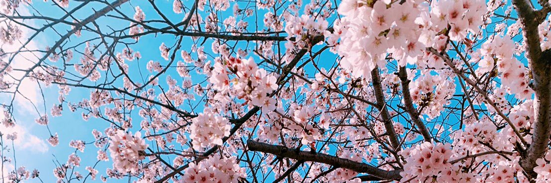 sasa_chaba's profile banner image