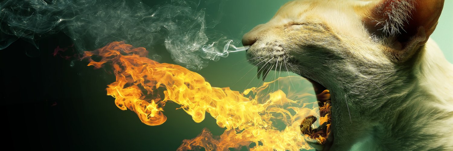 henrydevany's profile banner image