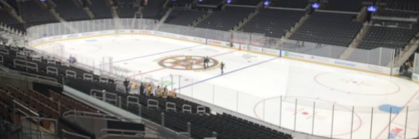 Bruins__fan Profile Banner