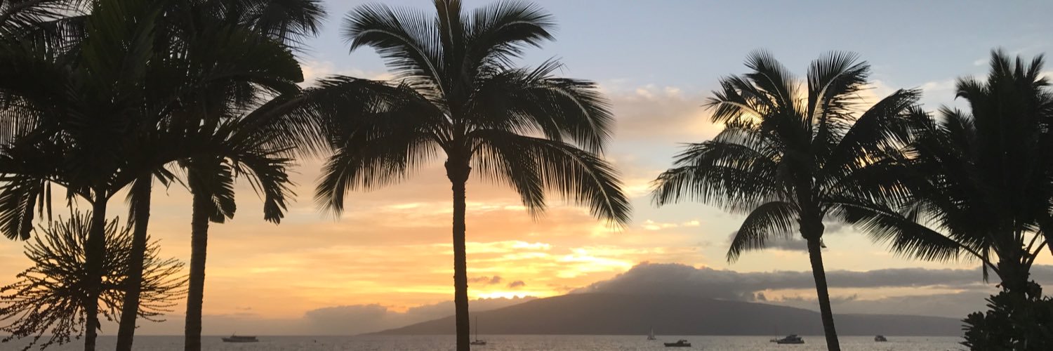 brilamb95's profile banner image