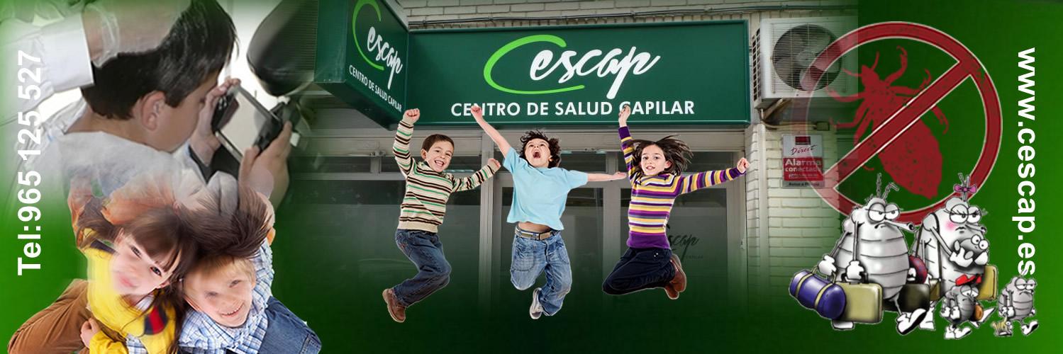 CESCAP_ES's profile banner image