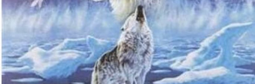 HalilSEYMEN's profile banner image