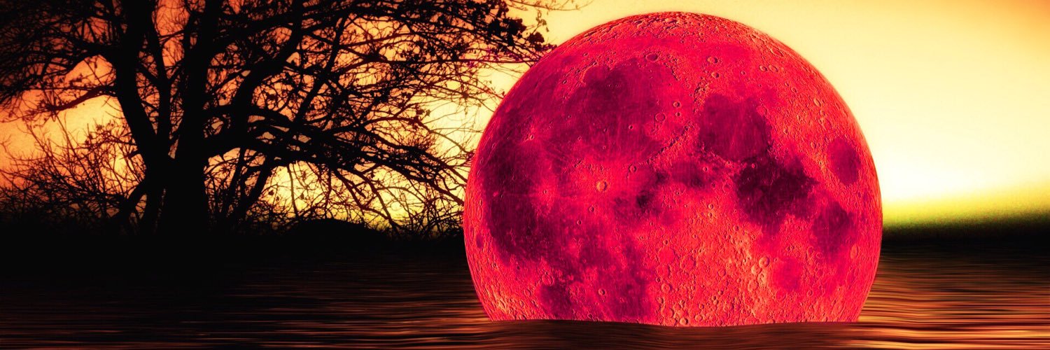 REDBRIM59's profile banner image