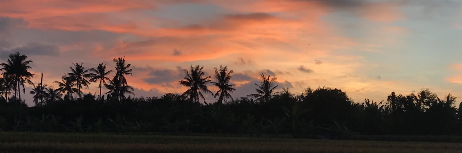 MadeinBali07's profile banner image