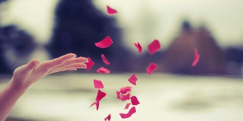 NandaTrimarta's profile banner image