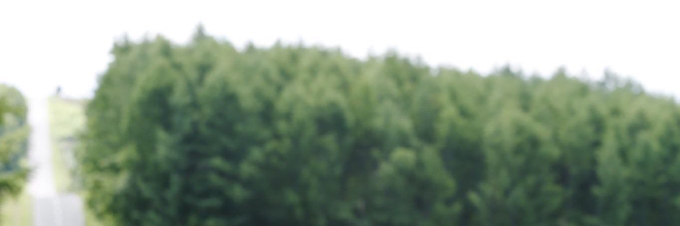hingpit_hingpit's profile banner image