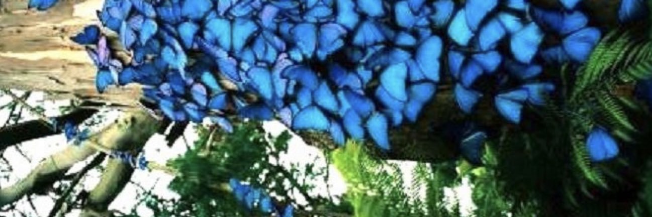 Florence Lemaire banner