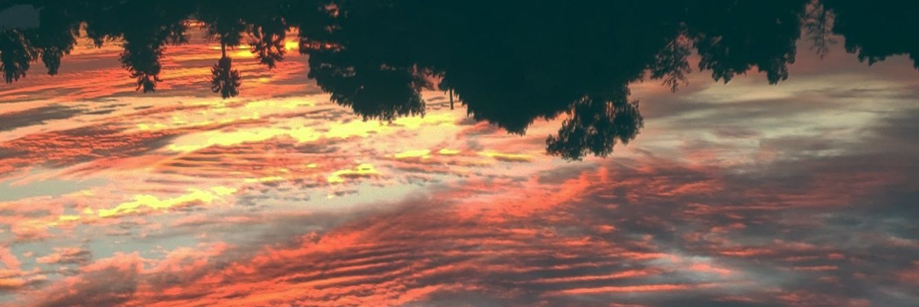 ___patato's profile banner image