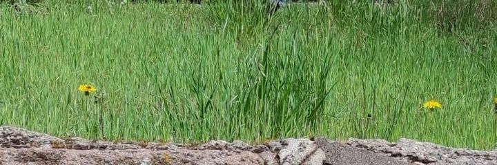 hakanyalcin88's profile banner image