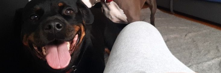 itsoltzz's profile banner image