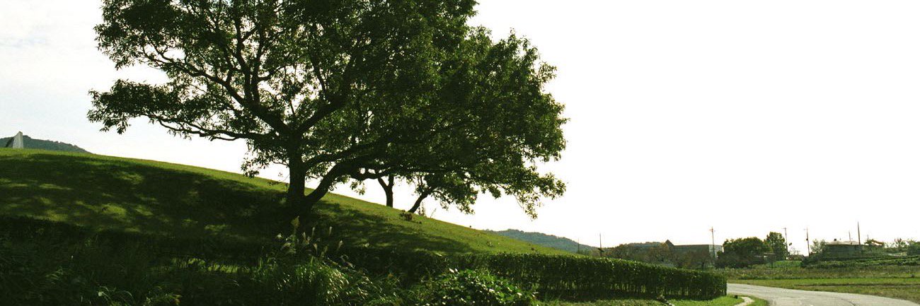 artovenry's profile banner image