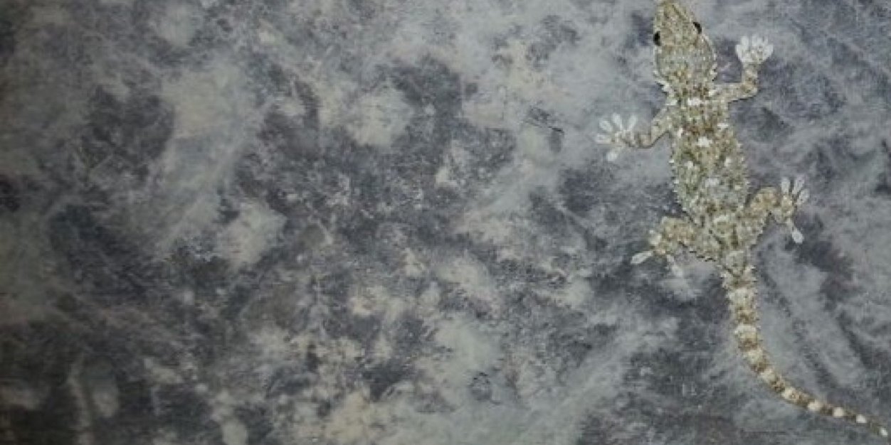 joseryague's profile banner image