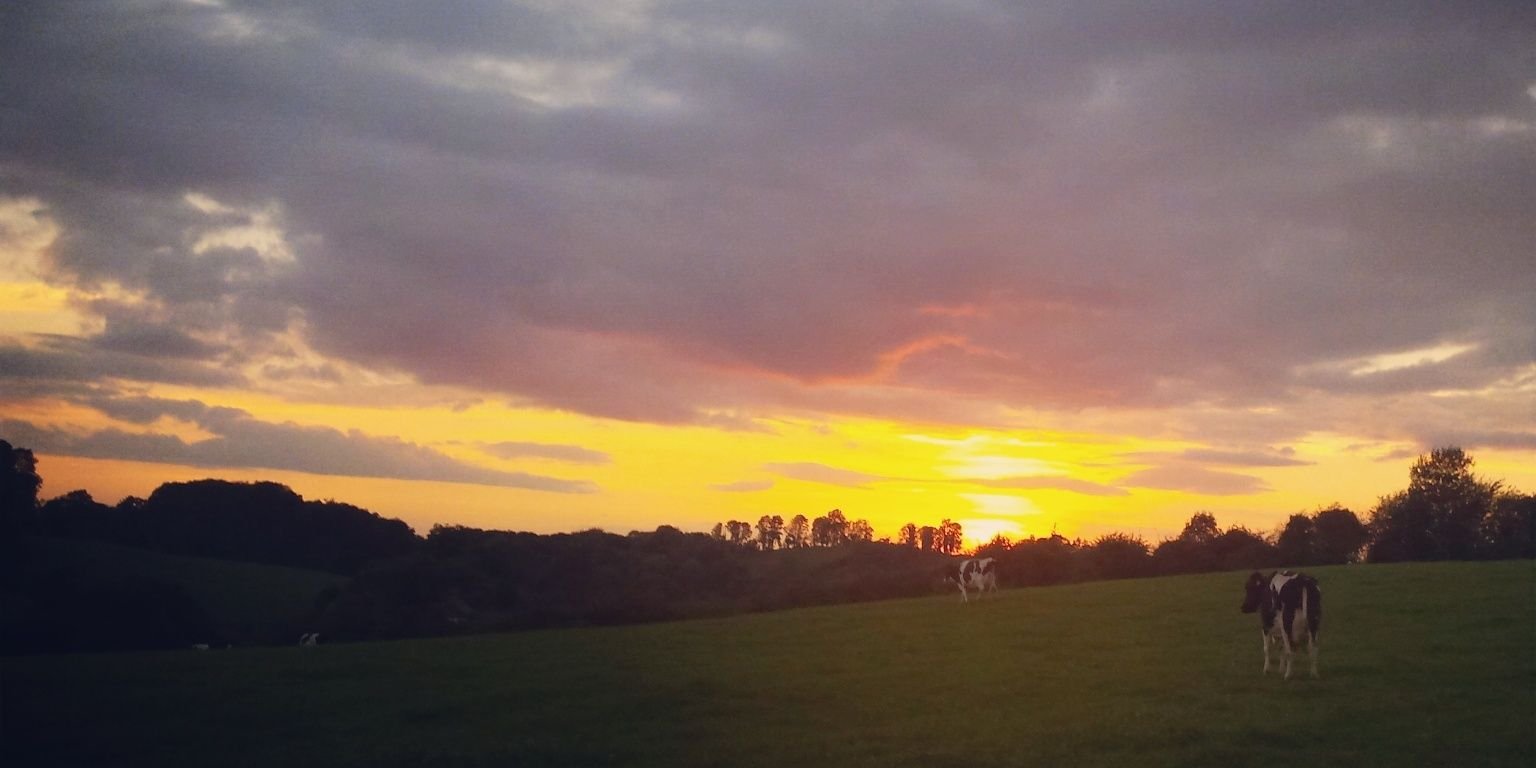 stephen hurson banner