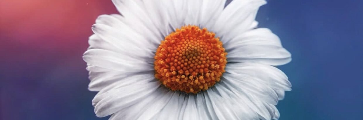 bendis_89's profile banner image
