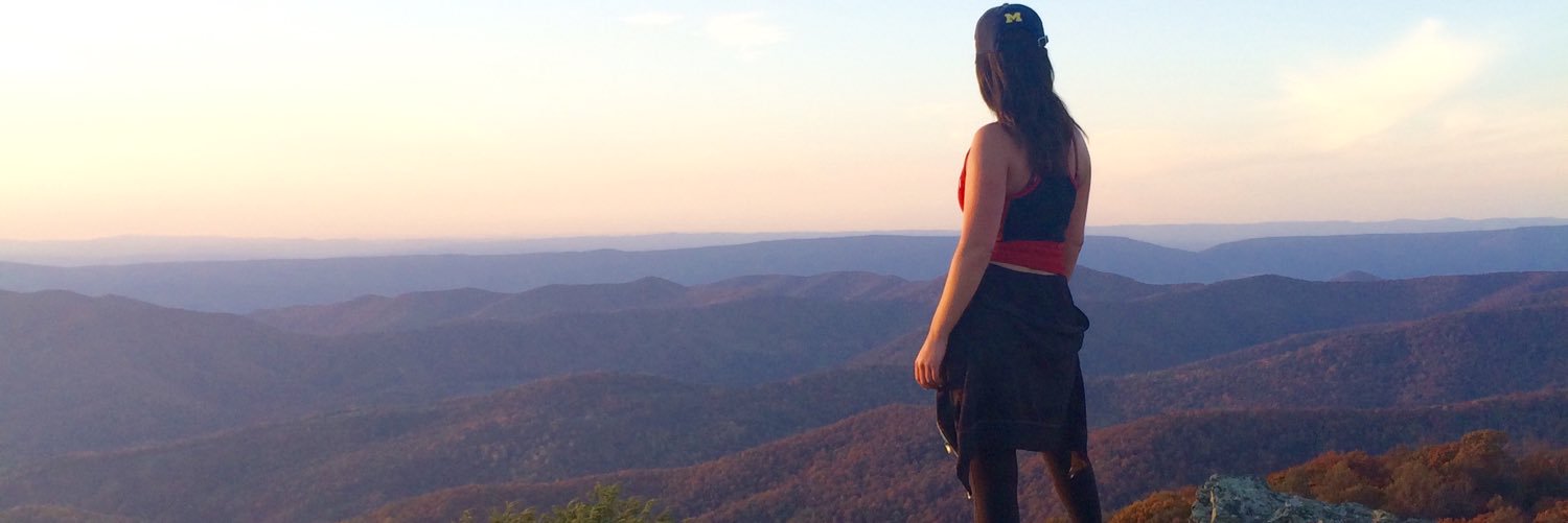 kotabear3's profile banner image
