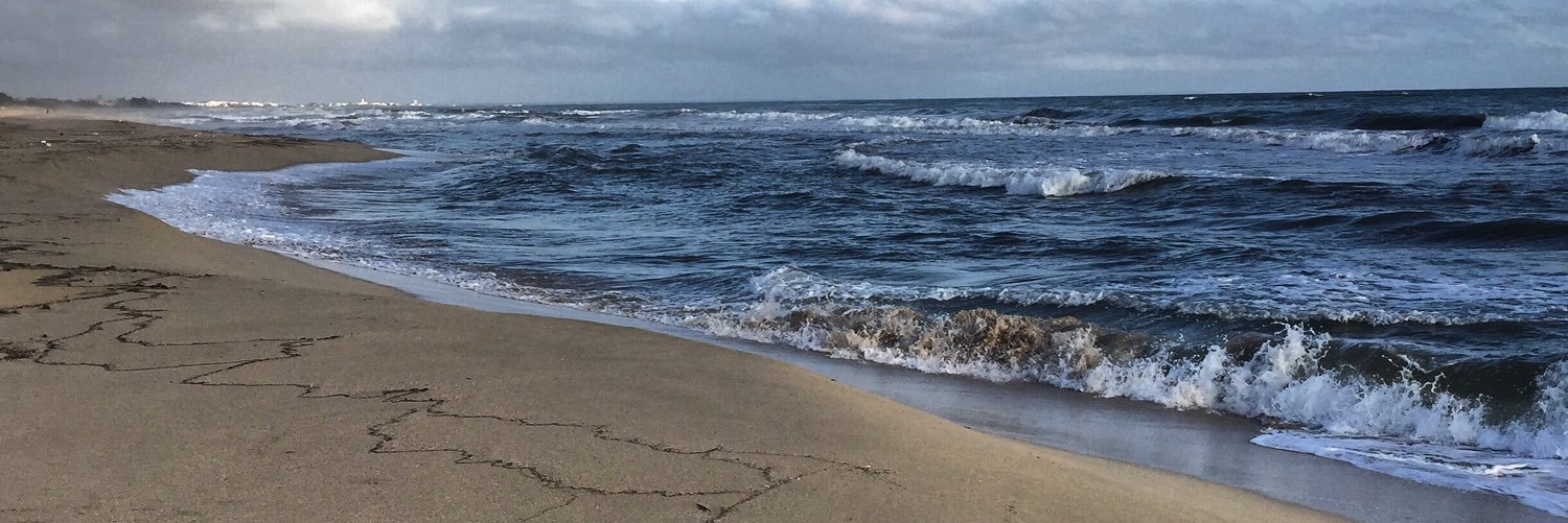 Rachel Bremer banner