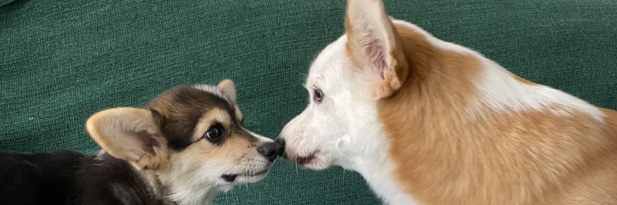 Ruby The Showgirl❤️‍🔥 banner