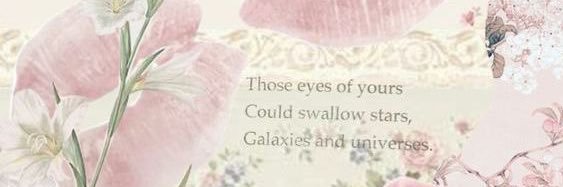 En vy banner