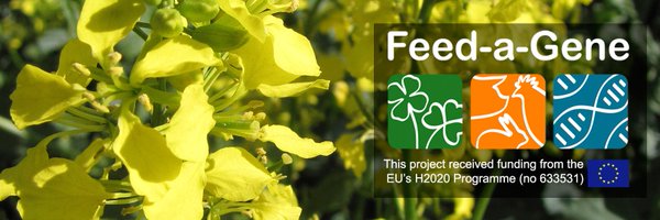 FeedaGene Profile Banner