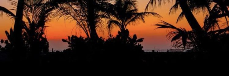 csnmax's profile banner image