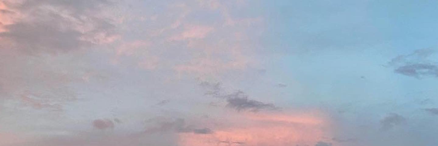 Emily Oldenquist banner