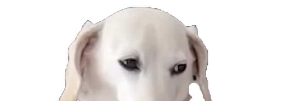 Chapeon66's profile banner image