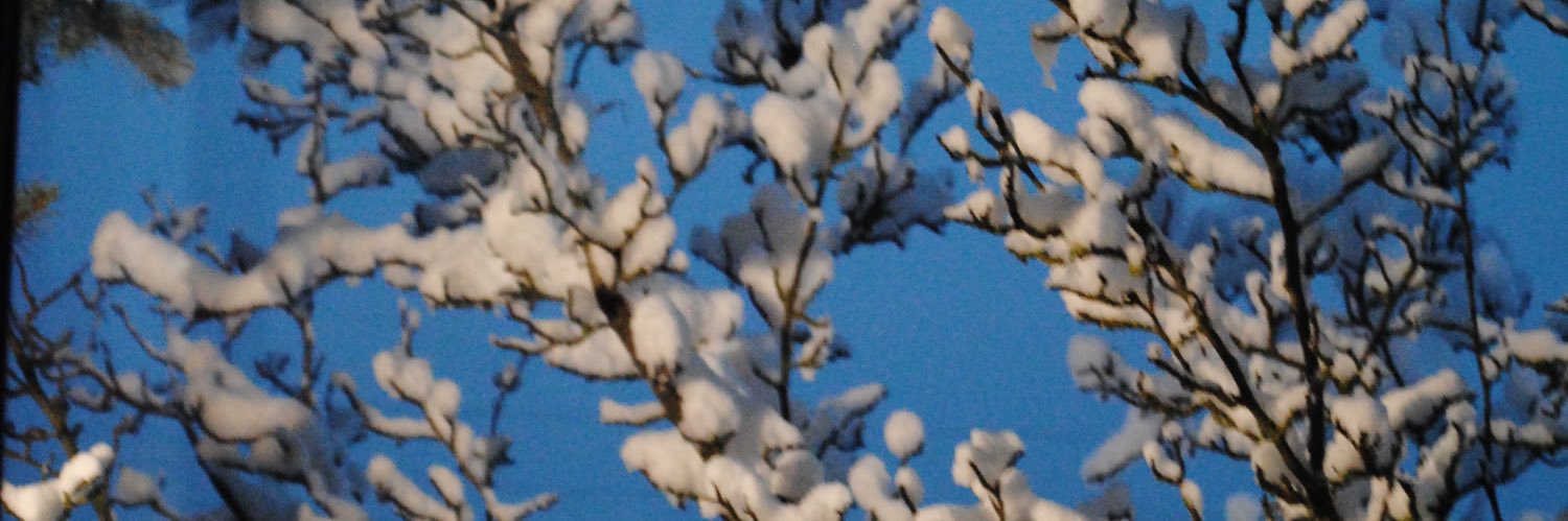 crisandercats's profile banner image