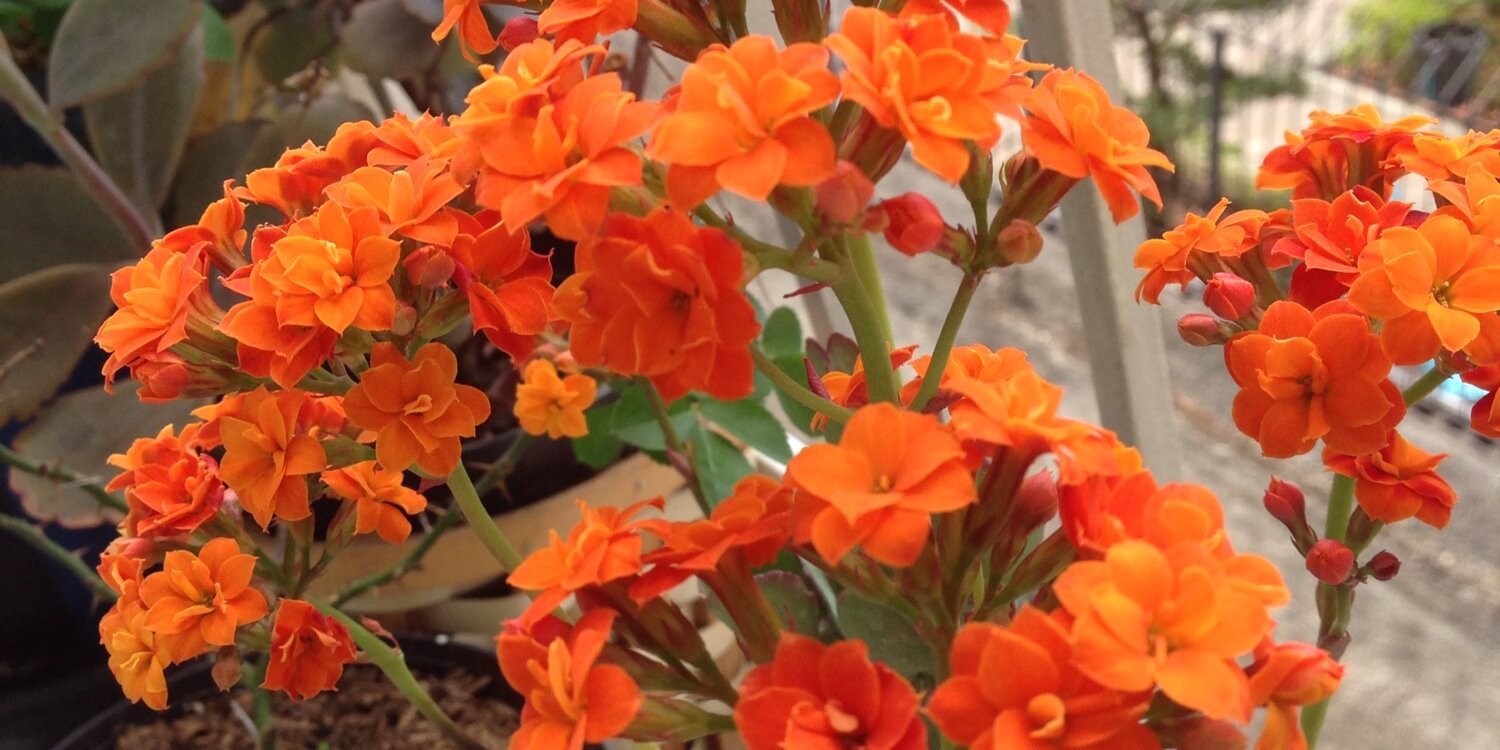 gonzalezgalain's profile banner image
