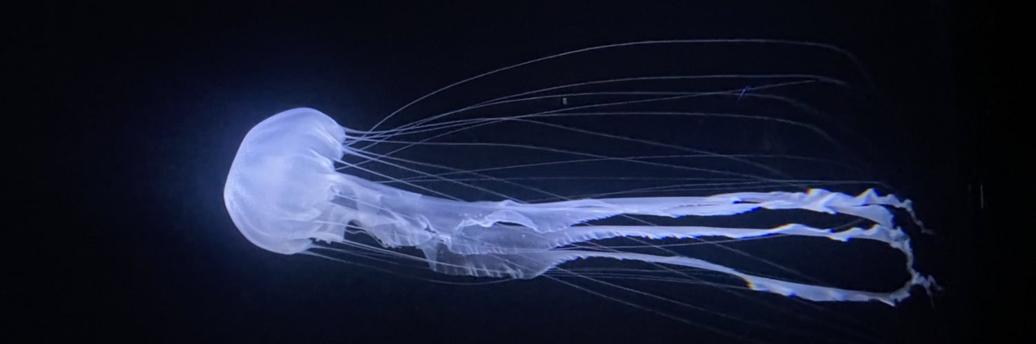 krnar02's profile banner image