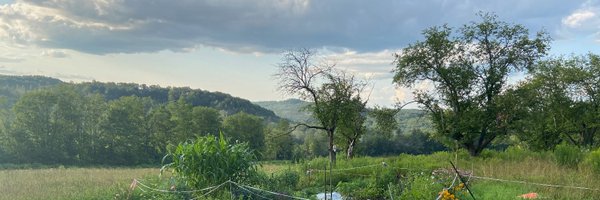 turnlizer Profile Banner