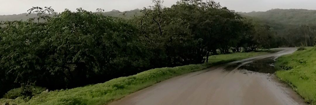 SOmane22's profile banner image