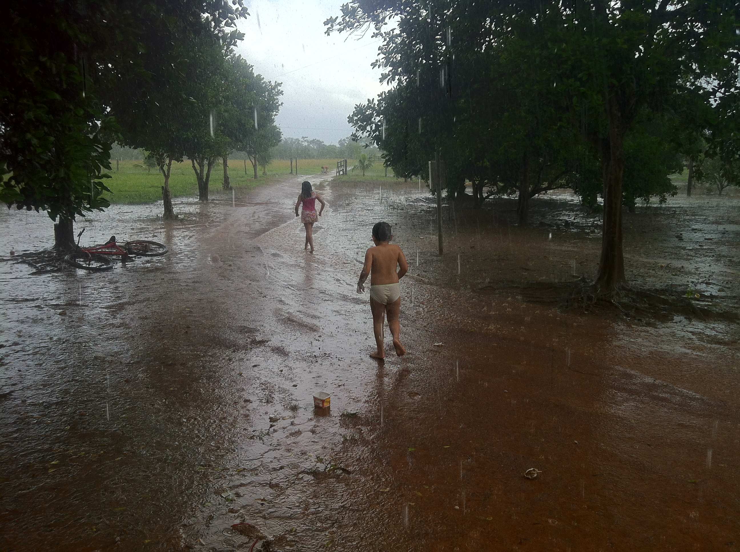 Sebastião Relson banner