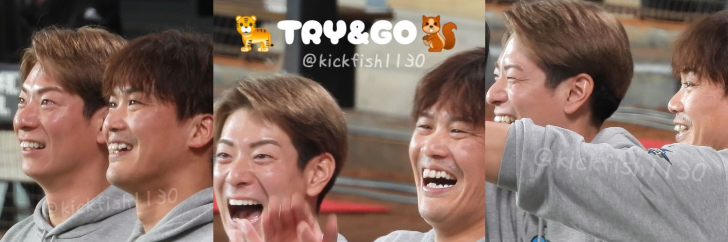 🐅おさかな姉やん🐿️ banner