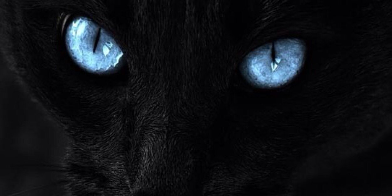 z27's profile banner image