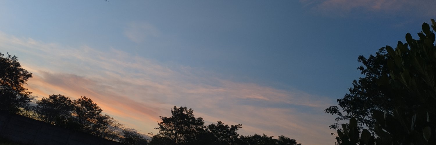 Afi 🍉 banner