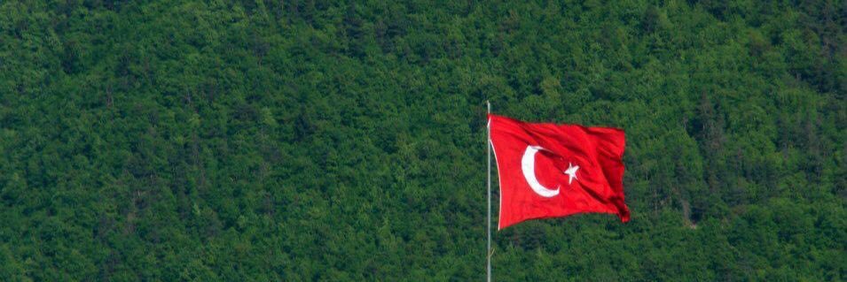 Anket banner