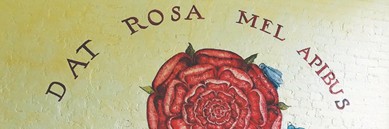 JamesRoseK's profile banner image