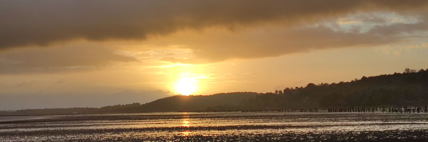 KWimbles's profile banner image