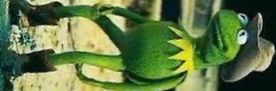 carmencita banner