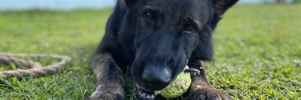 Juliu5Cae5ar Profile Banner