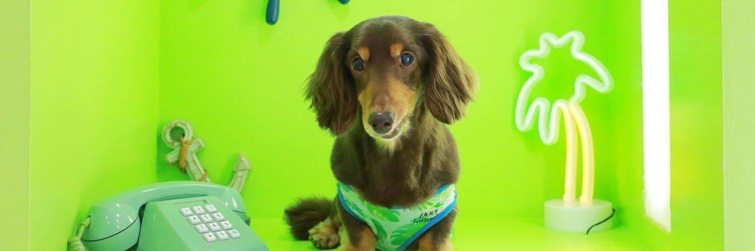 ラッキー王子 banner