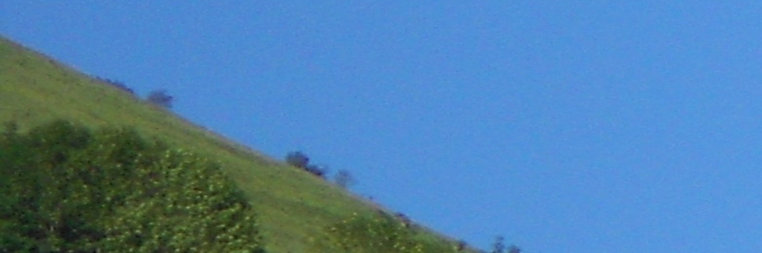 FradLI64's profile banner image